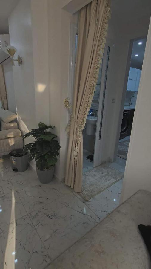 Apartment الدقي